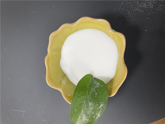 Resin akrilik polimer Degalan LP64/12 bubuk resin akrilik padat serupa